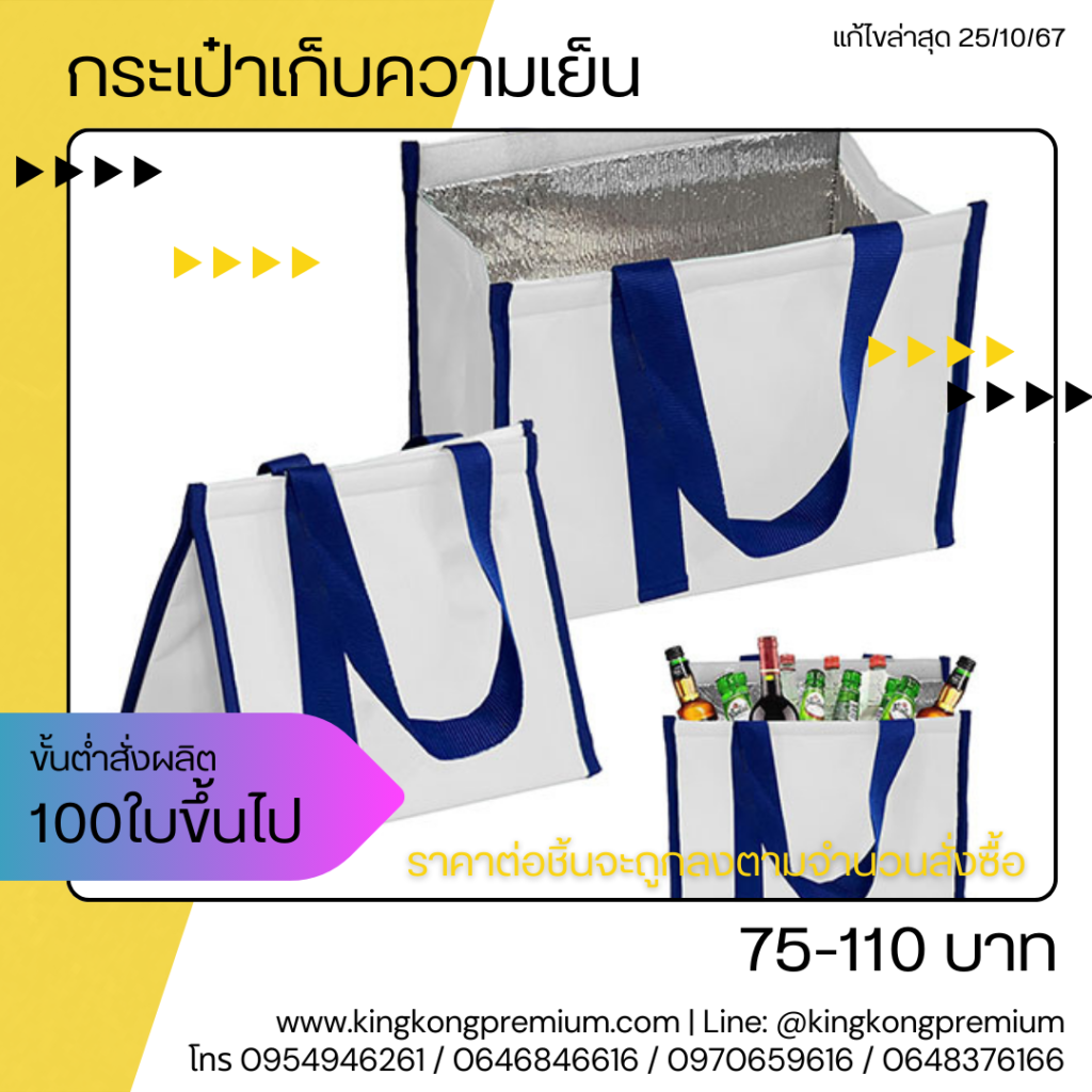 กระเป๋า Cooler Bag